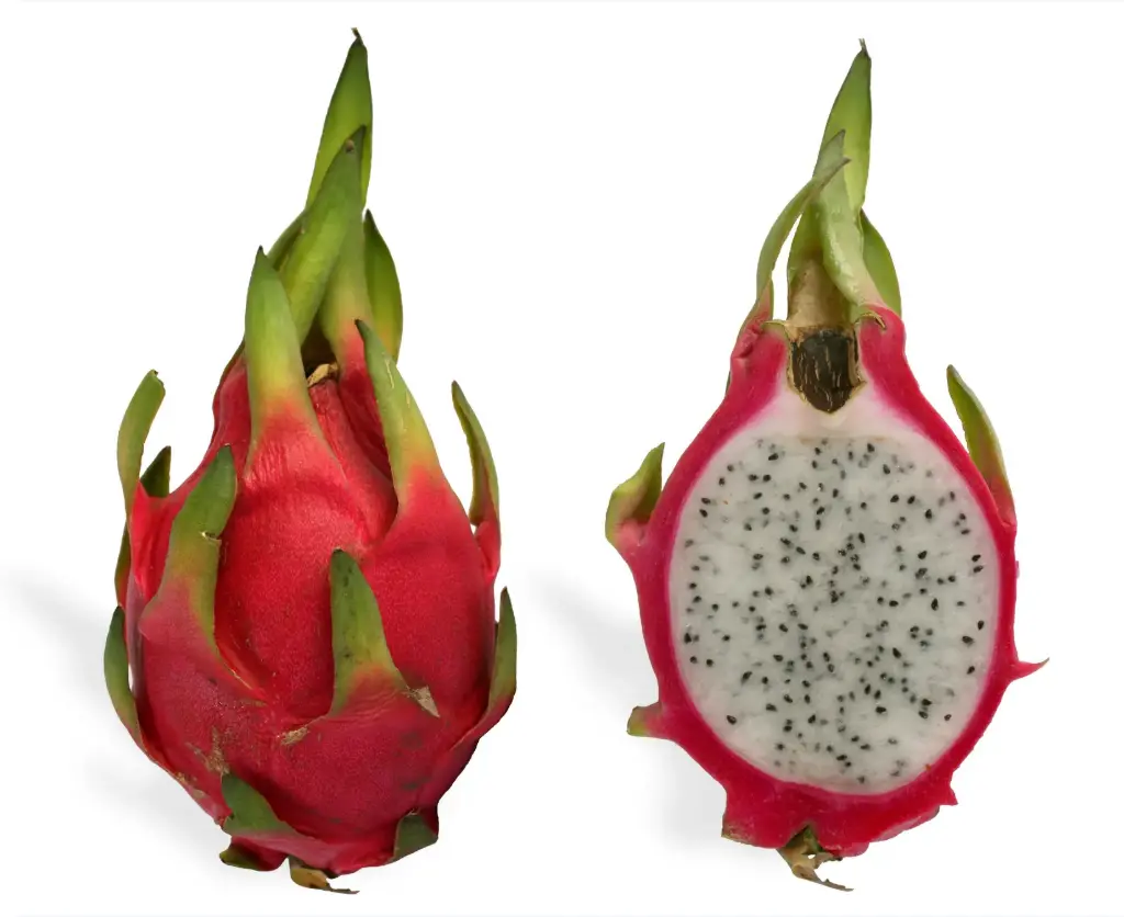 Dragonfruit/ Pitaya