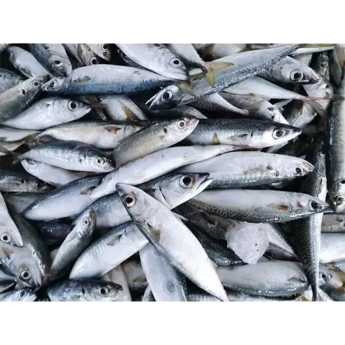 Asian Choice: Jack Makrele fish 5/800