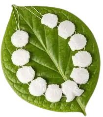 Adisha: 100g Sugar Garland (Gathi)