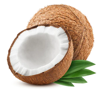 Pooja Mudi coconut (With Cap) - No refund