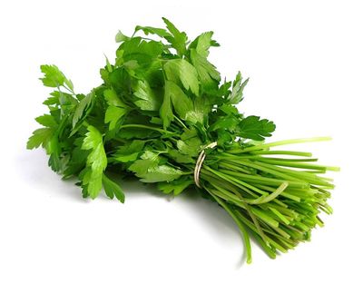 Coriander leaves Bund