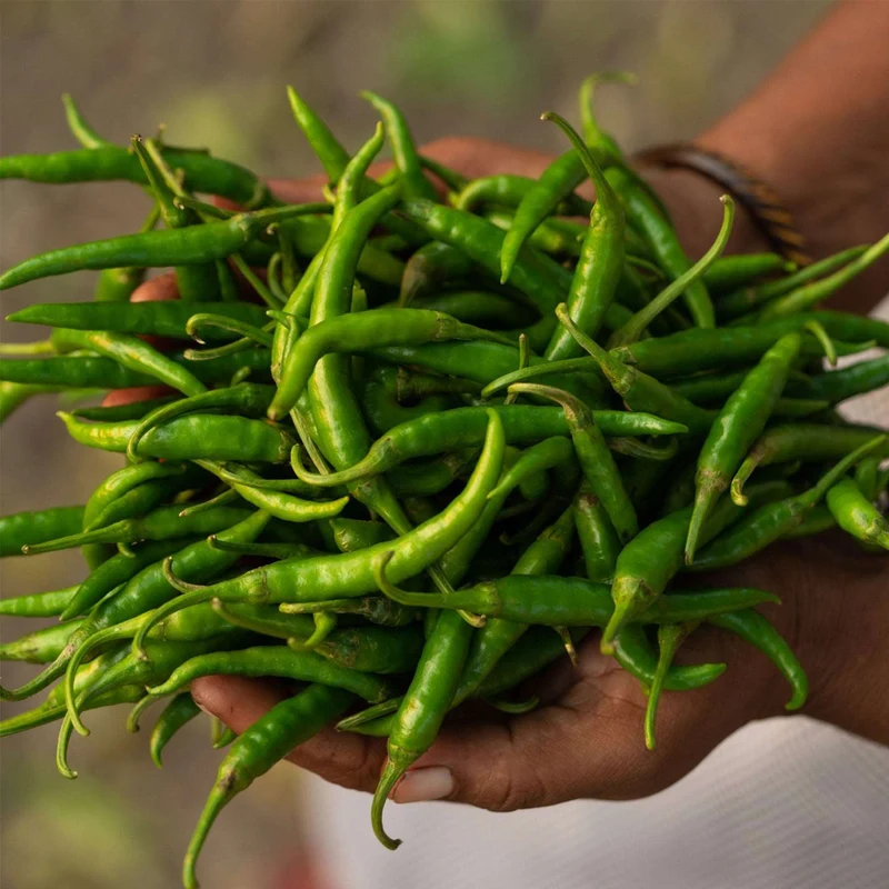 Chilli Green Mirchi