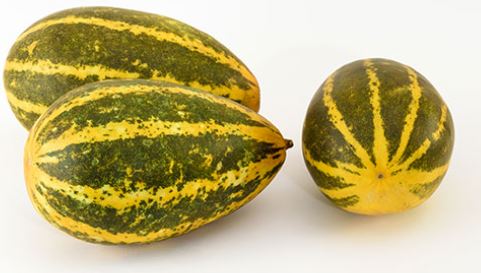 Vellarika (ca- 500- 600g)