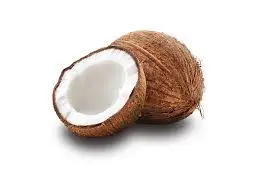 Coconut (without cap)