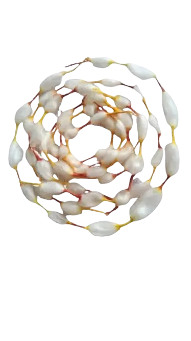 Cotton Garland 21 Moti ( Malwastra Cotton)