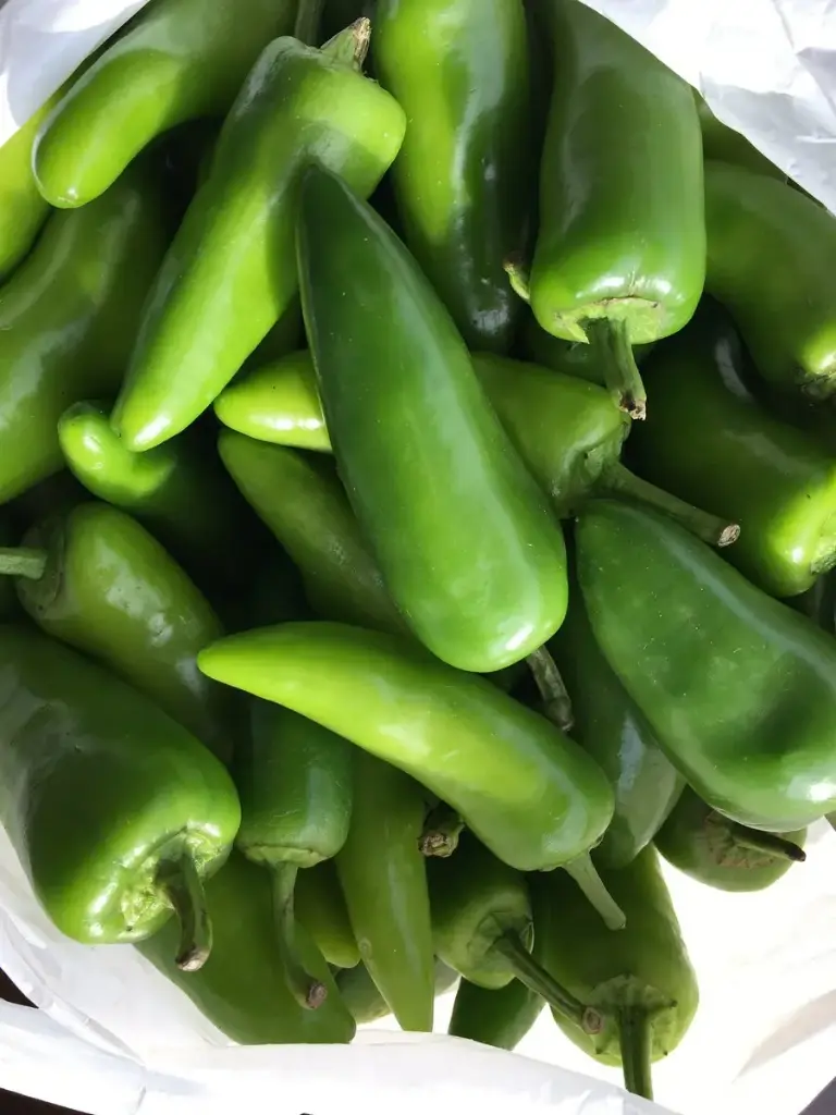 Green Bullet Chilli 250g