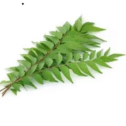 Curry leaves Big Packet (ca. 50g)