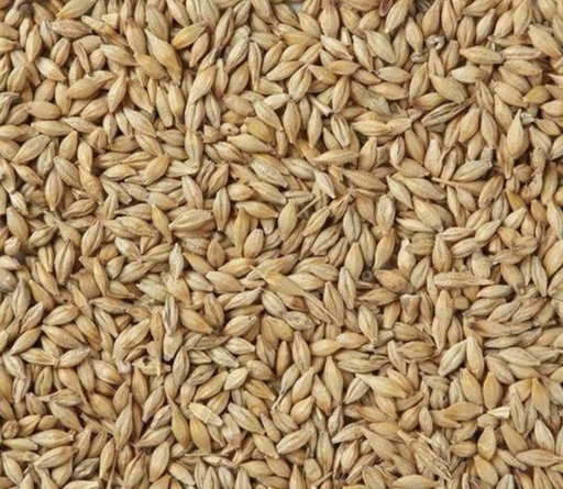 Barley (JAV) - 200g