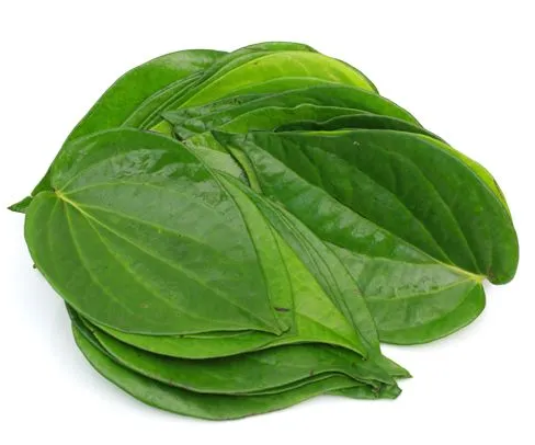 Betel Leaves Stück (ca. 8 stk)