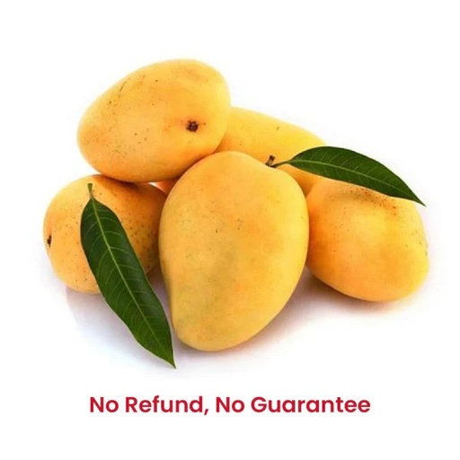  Alphanso Mangoes Box (5-6 pcs) - No refund or guarantee