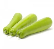 Lauki 1 pc (500-600g)