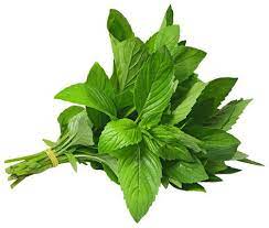 Mint Leaves