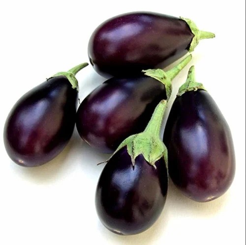 Purple Baingan - Indian Eggplant (500g)