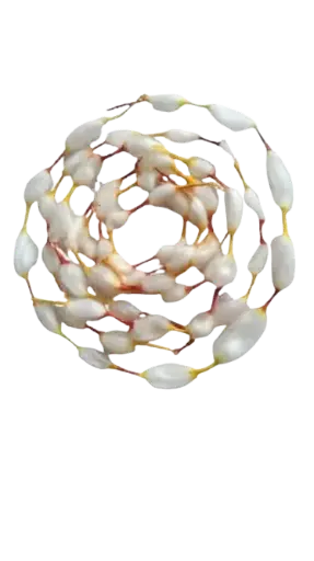 Cotton Garland 21 Moti ( Malwastra Cotton)