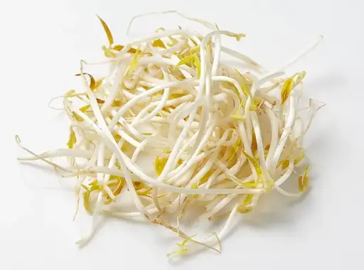 Soya beans Sprouts/Sojabohnensprossen